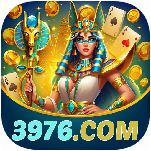 3976.com